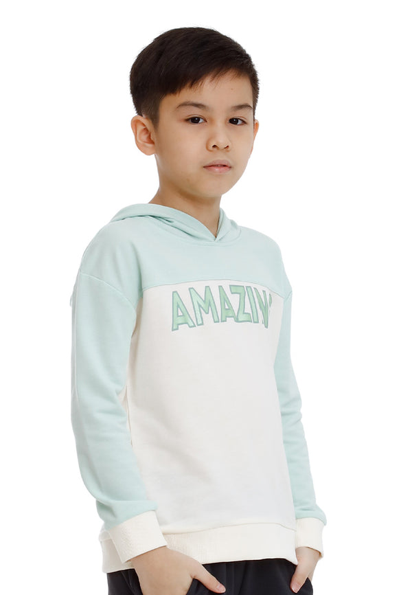 Forest Kids Boy Cut & Sew Long Sleeve Hooded Sweater Boys Graphic Hoodie| Baju Budak Lelaki Lengan Panjang - FK20251
