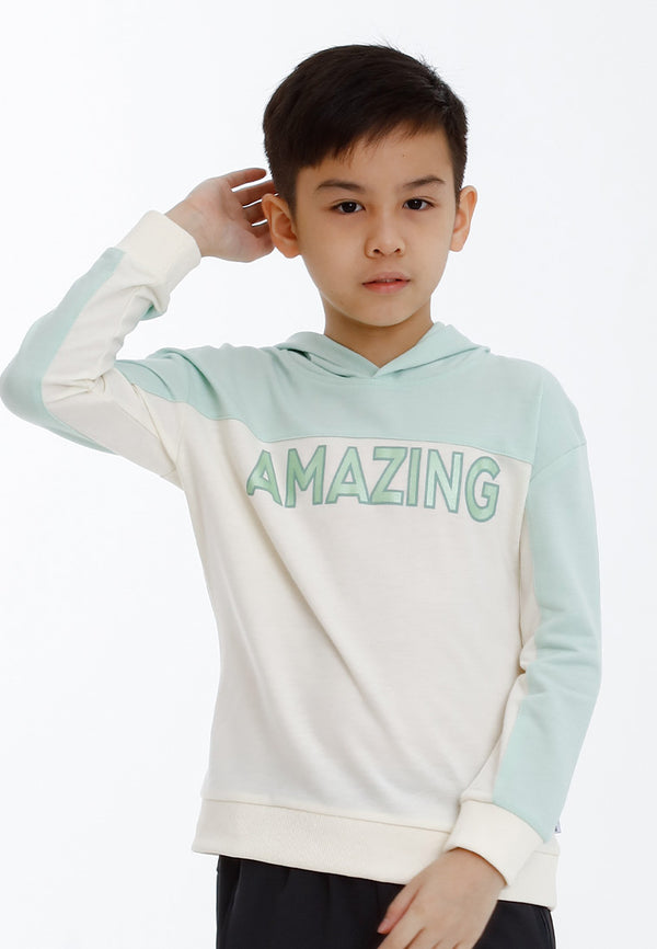 Forest Kids Boy Cut & Sew Long Sleeve Hooded Sweater Boys Graphic Hoodie| Baju Budak Lelaki Lengan Panjang - FK20251