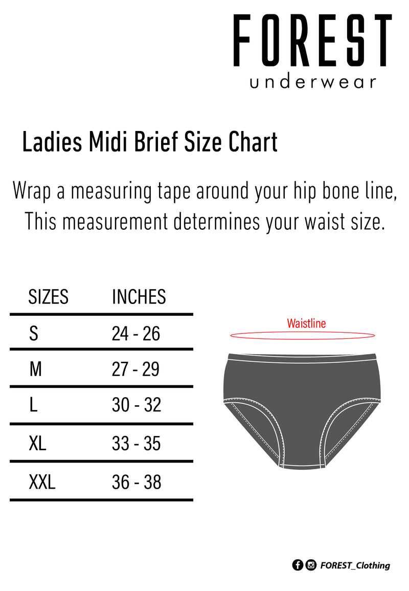 (3 Pcs) Forest X One Piece Ladies Microfiber Spandex Midi Brief Underwear Assorted Colours - NLD0017D