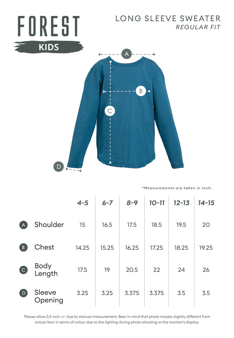 Forest Kids Boy Cut & Sew Long Sleeve Sweater Boys Embroidery Raglan Sleeve Tee | Baju Lelaki Lengan Panjang - FK20249