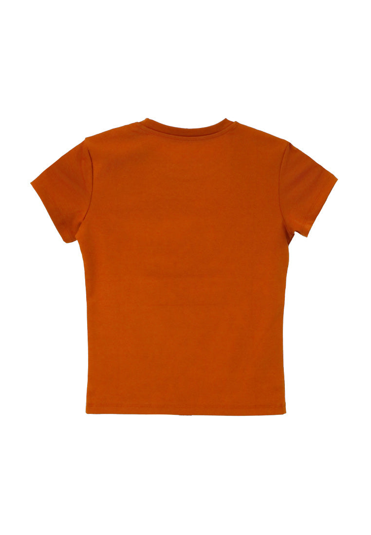 Forest Ladies Premium Cotton Stretchable Round Neck Tee | Baju T Shirt Perempuan - 822436