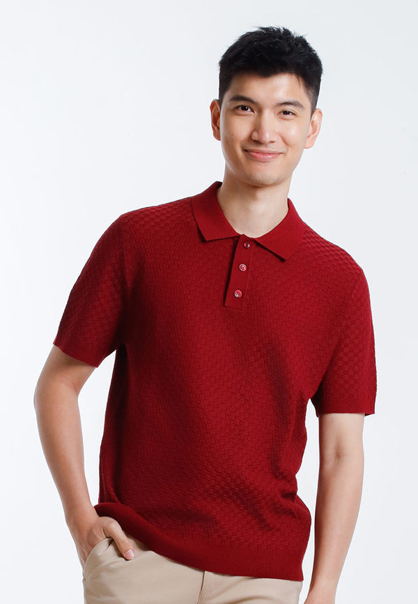 Alain Delon Tee Leher Polo Lelaki |  Alain Delon Knits Polo Short Sleeve T-Shirt Men - 16025001