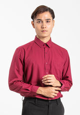 Alain Delon Long Sleeve Regular Fit Plain Business Shirt  - 15024006