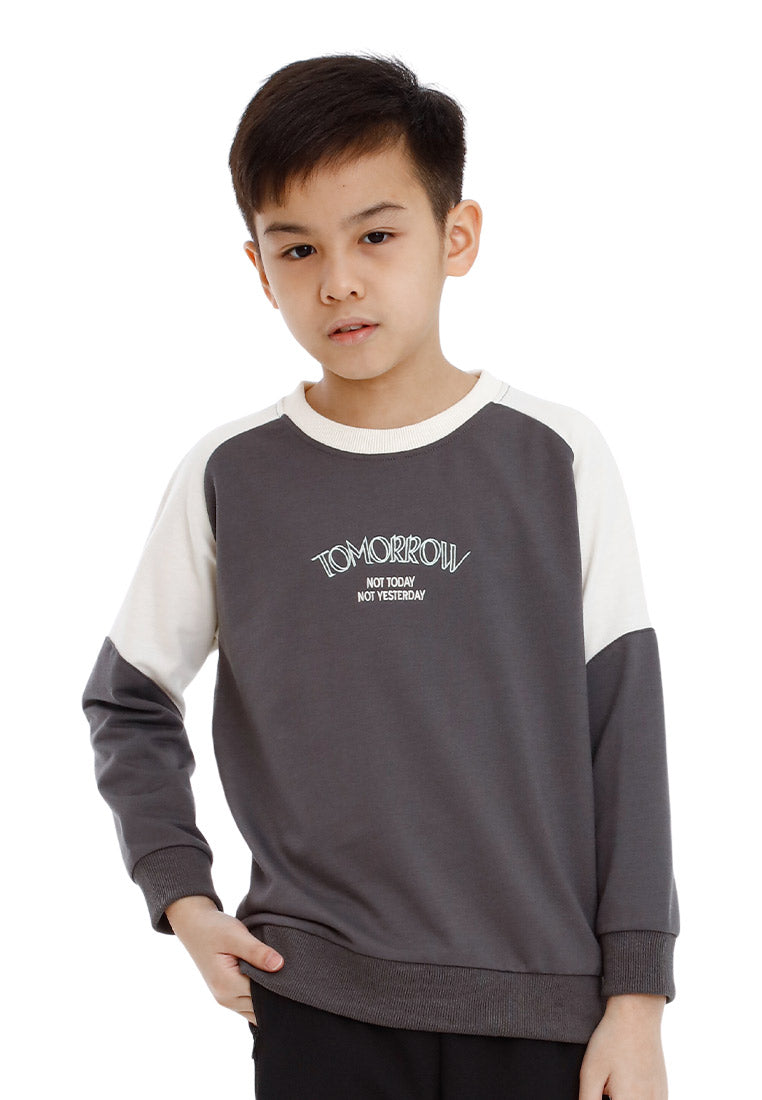 Forest Kids Boy Cut & Sew Long Sleeve Sweater Boys Embroidery Raglan Sleeve Tee | Baju Lelaki Lengan Panjang - FK20249