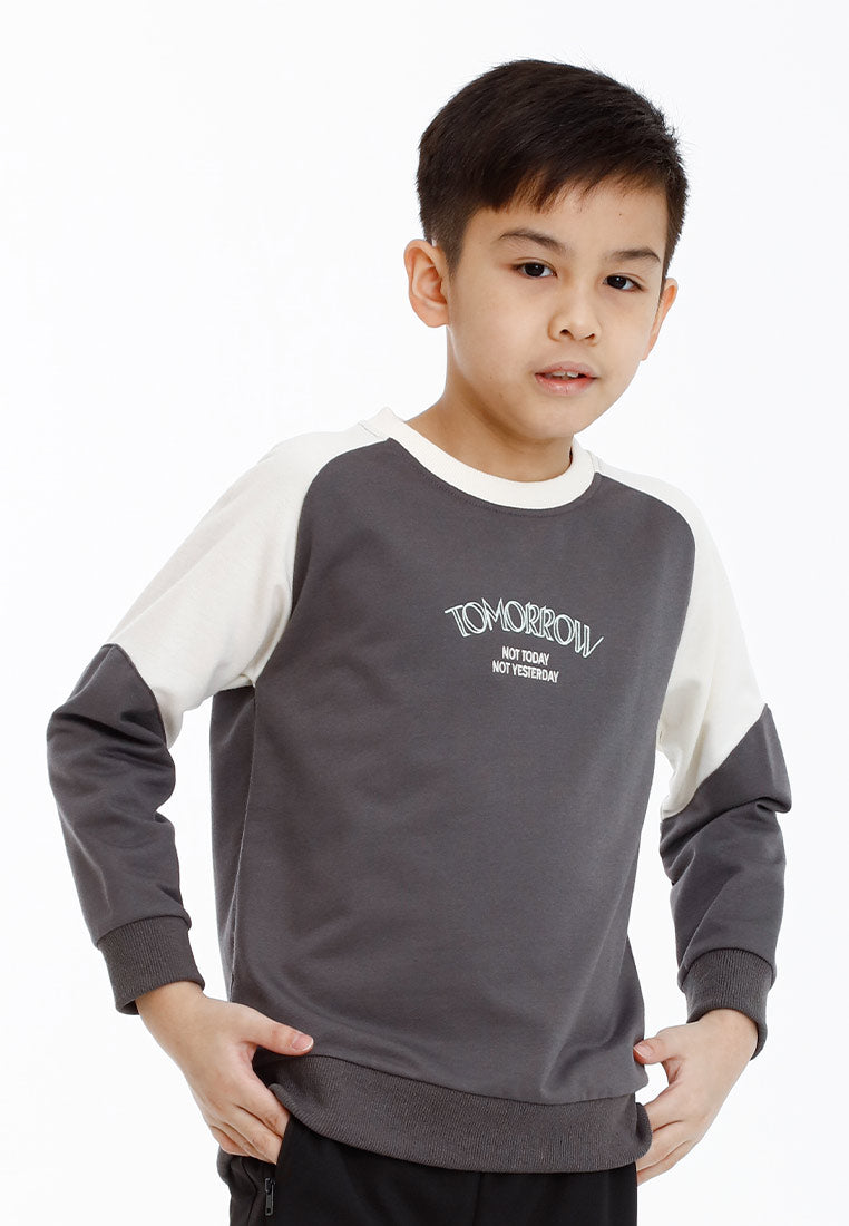 Forest Kids Boy Cut & Sew Long Sleeve Sweater Boys Embroidery Raglan Sleeve Tee | Baju Lelaki Lengan Panjang - FK20249