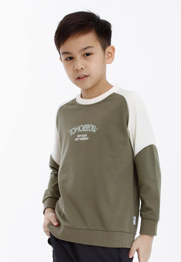Forest Kids Boy Cut & Sew Long Sleeve Sweater Boys Embroidery Raglan Sleeve Tee | Baju Lelaki Lengan Panjang - FK20249