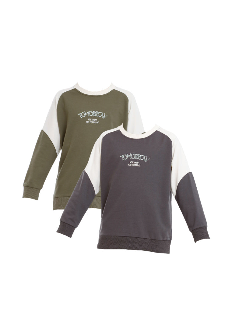 Forest Kids Boy Cut & Sew Long Sleeve Sweater Boys Embroidery Raglan Sleeve Tee | Baju Lelaki Lengan Panjang - FK20249