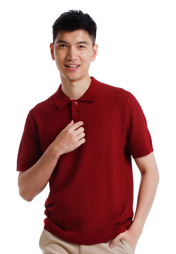 Alain Delon Tee Leher Polo Lelaki |  Alain Delon Knits Polo Short Sleeve T-Shirt Men - 16025001