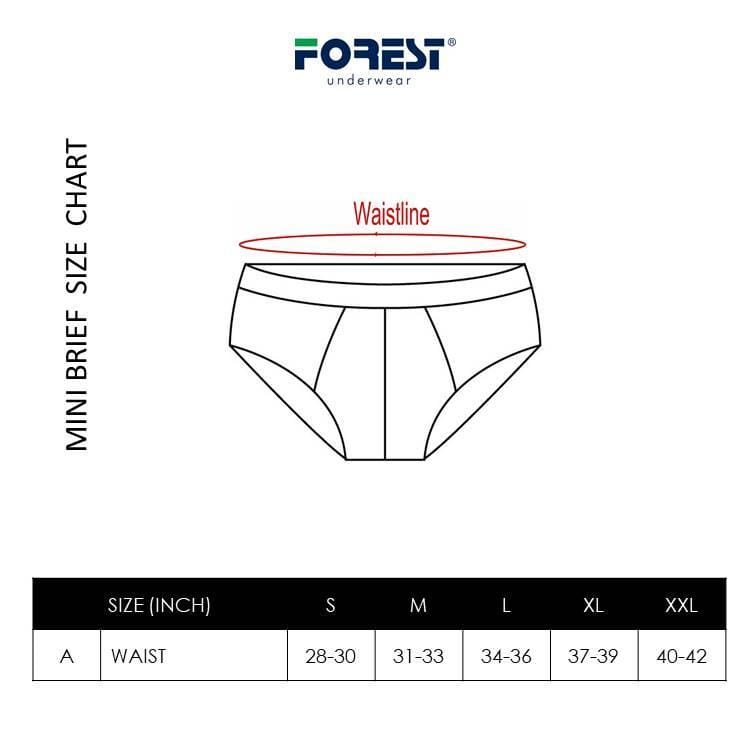 Underwear Mini Brief (5 Pieces) Assorted Colour - BUD5109M