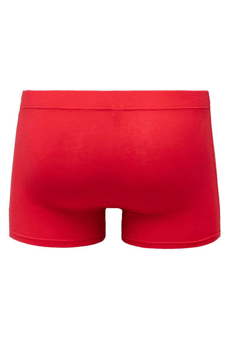 (2 Pcs) Pokémon Kids Cotton Spandex Shorty Brief Underwear Assorted Colours - PUJ1007S
