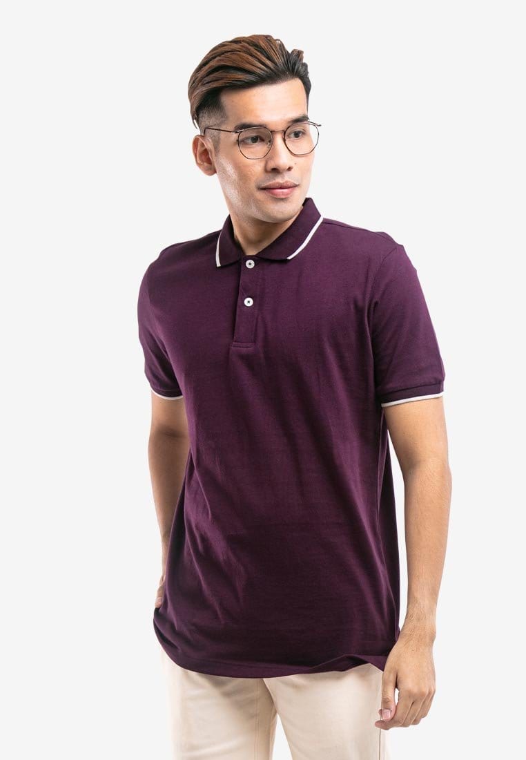 100% Cotton Regular Fit Polo Collar T-Shirt - 23306