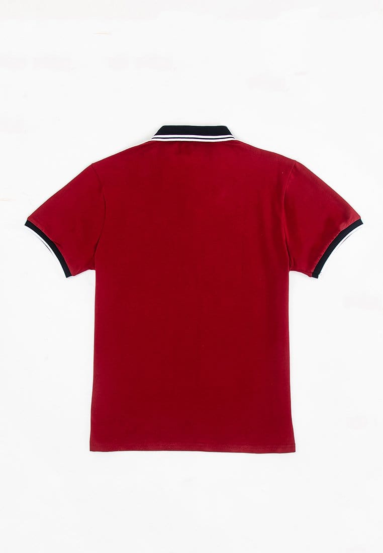 stretchable Slim Fit Polo Tee - 23543