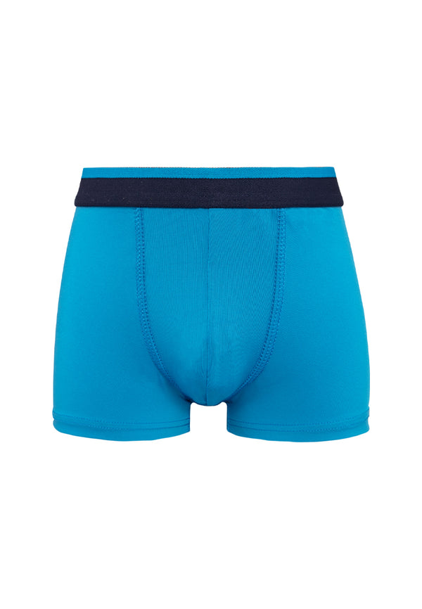 2 Pcs) Forest Kids Boy Brief MicroFibre Spandex Kids Underwear Assorted Colours - FUJ0008S