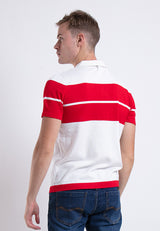 Forest Fancy Knitted Polo T Shirts Men Sweater Men Knitwear | Baju Sweater Lelaki Knitwear - 621264