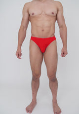 (2 Pcs) Byford Men Brief Bamboo Spandex Men Underwear Assorted Colours - BUB550M