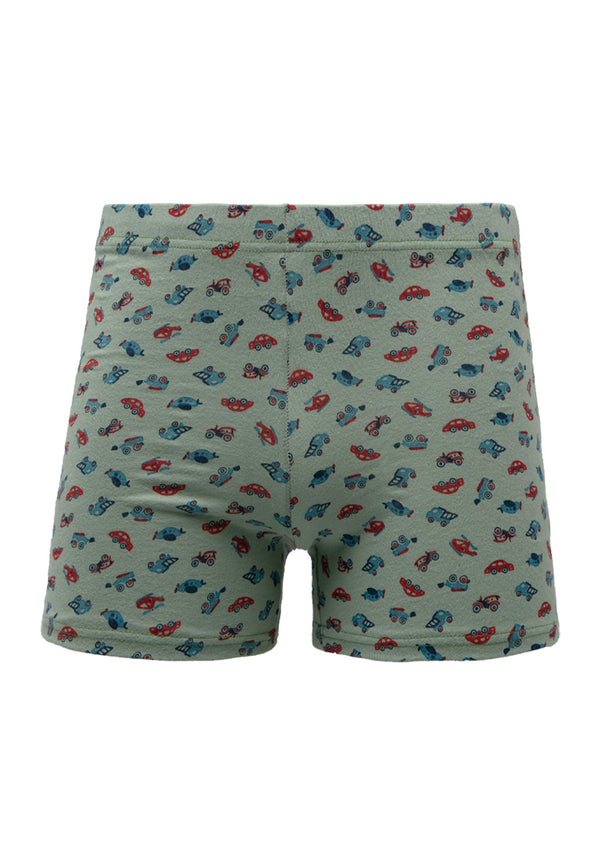 ( 2 Pieces ) Forest Kids 100% Cotton Boy Boxer briefs Assorted Colours - FUJ0012X